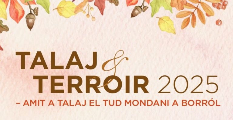 talaj_es_terroir_2025